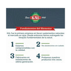 KAL Amino Acid Complex 1000 | Aminoácidos Esenciales y BCAA | Apoyo a Recuperación Muscular | 100 Tabletas