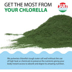 Sun Chlorella caja con 10 Sobres de 6g | 90 %+ de pared celular pulverizada | Vitamina B12 y vitamina D de origen natural | Sin OGM, sin gluten