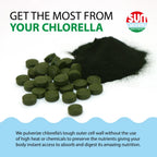 Sun Chlorella 600 Tabletas 500 mg | 90 %+ de pared celular pulverizada | Vitamina B12 y vitamina D de origen natural | Sin OGM, sin gluten