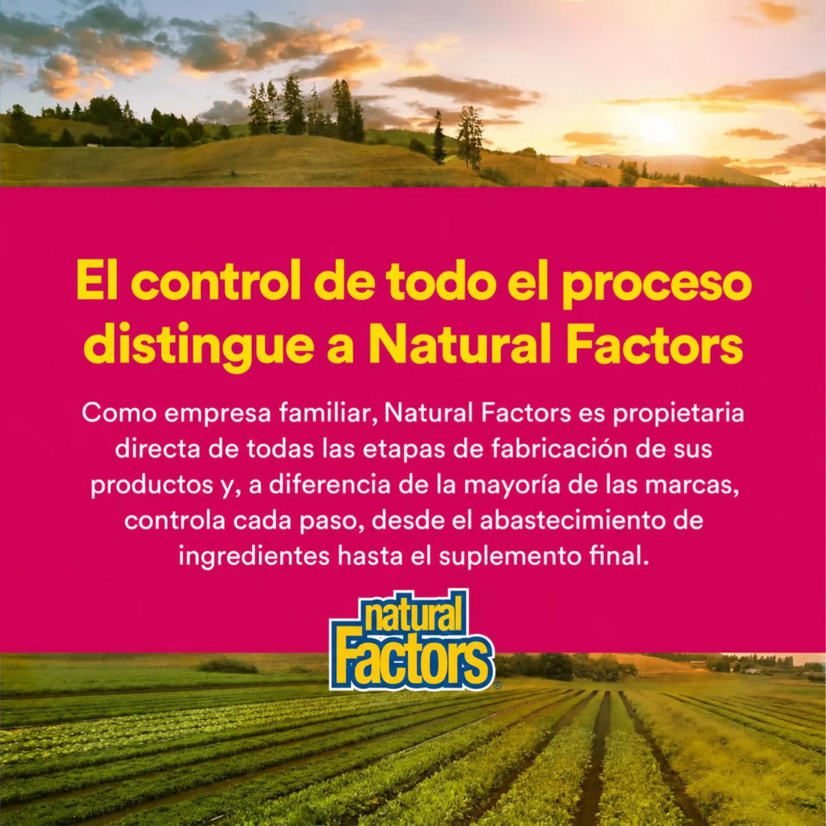 Natural Factors Lycopene 10 mg 60 Cápsulas Blandas
