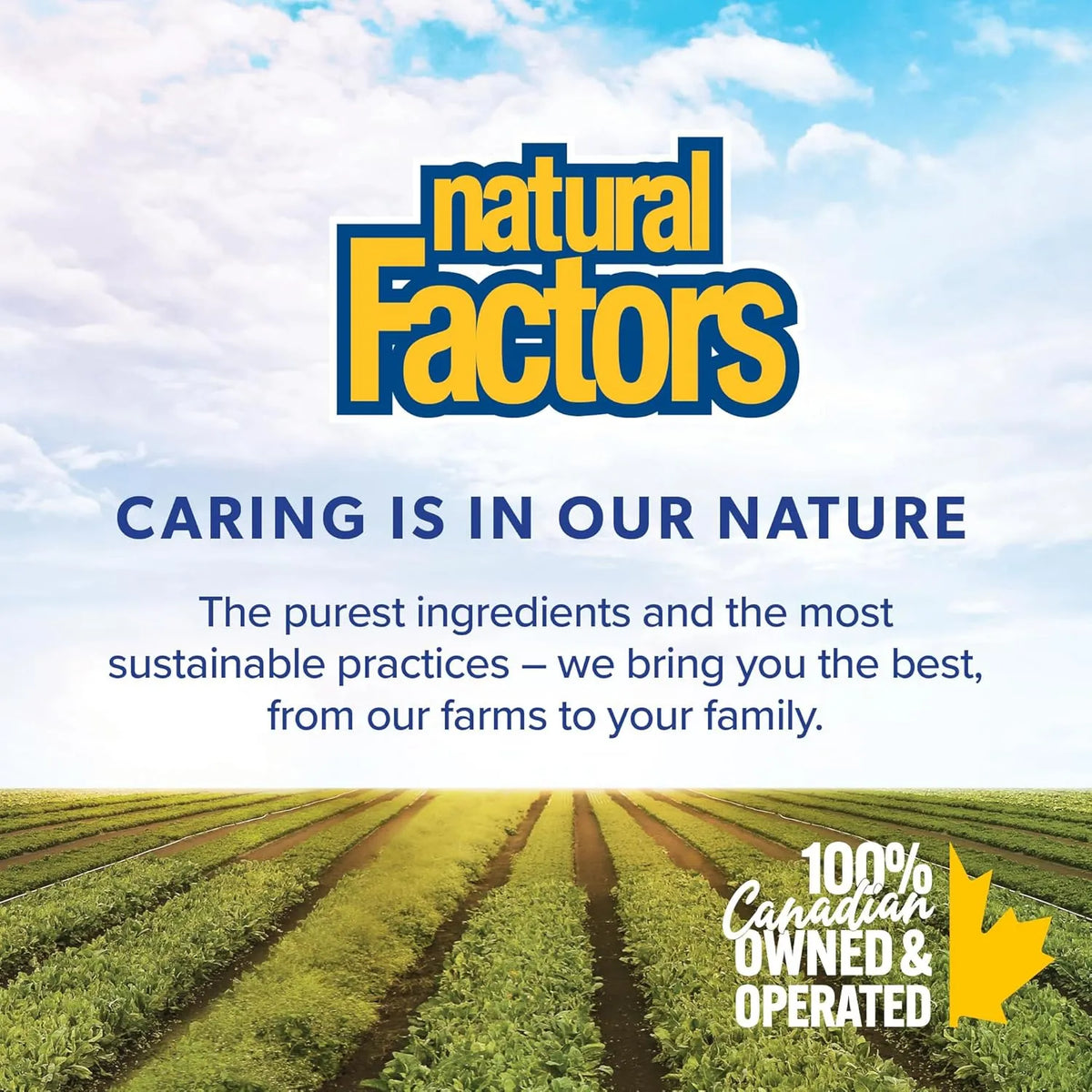 Natural Factors, Vitamina A, 3000 mcg (10.000 UI), 180 cápsulas blandas