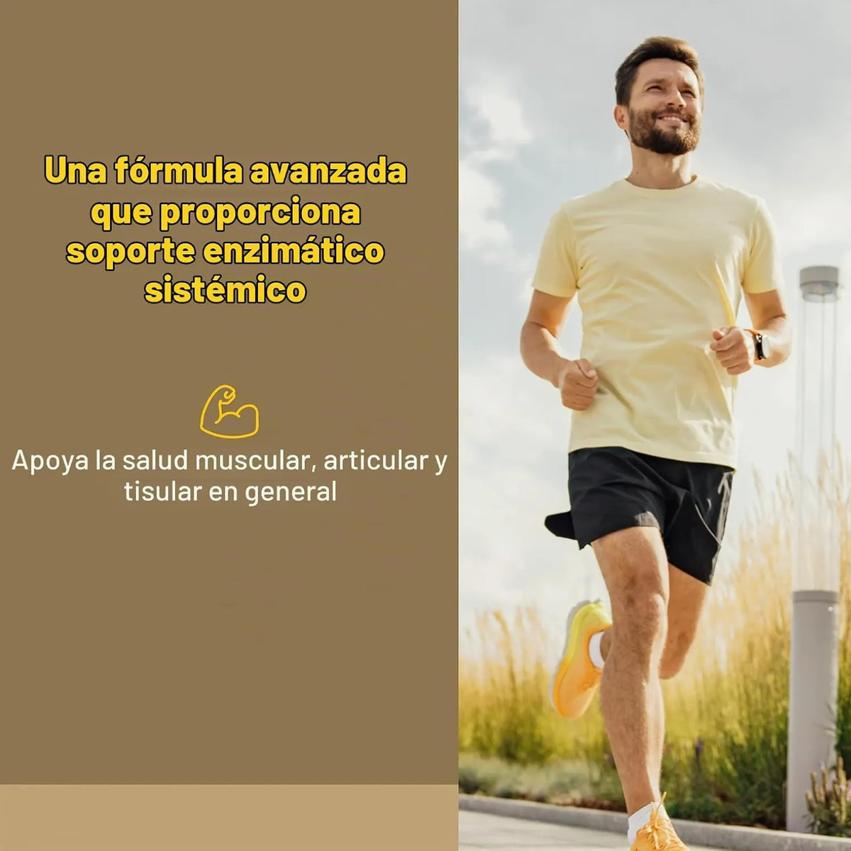 Natural Factors Zymactive Enzimas Proteoliticas Entericas 30 Tabletas