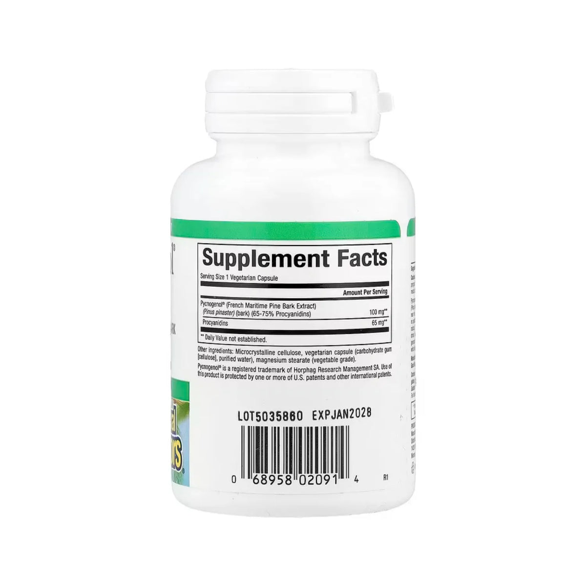 Natural Factors Pycnogenol® Pine Bark 100 mg 30 Cápsulas Vegetales