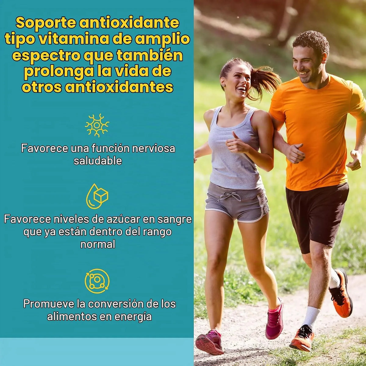 Natural Factors Alpha-Lipoic Acid 100 mg 60 Cápsulas