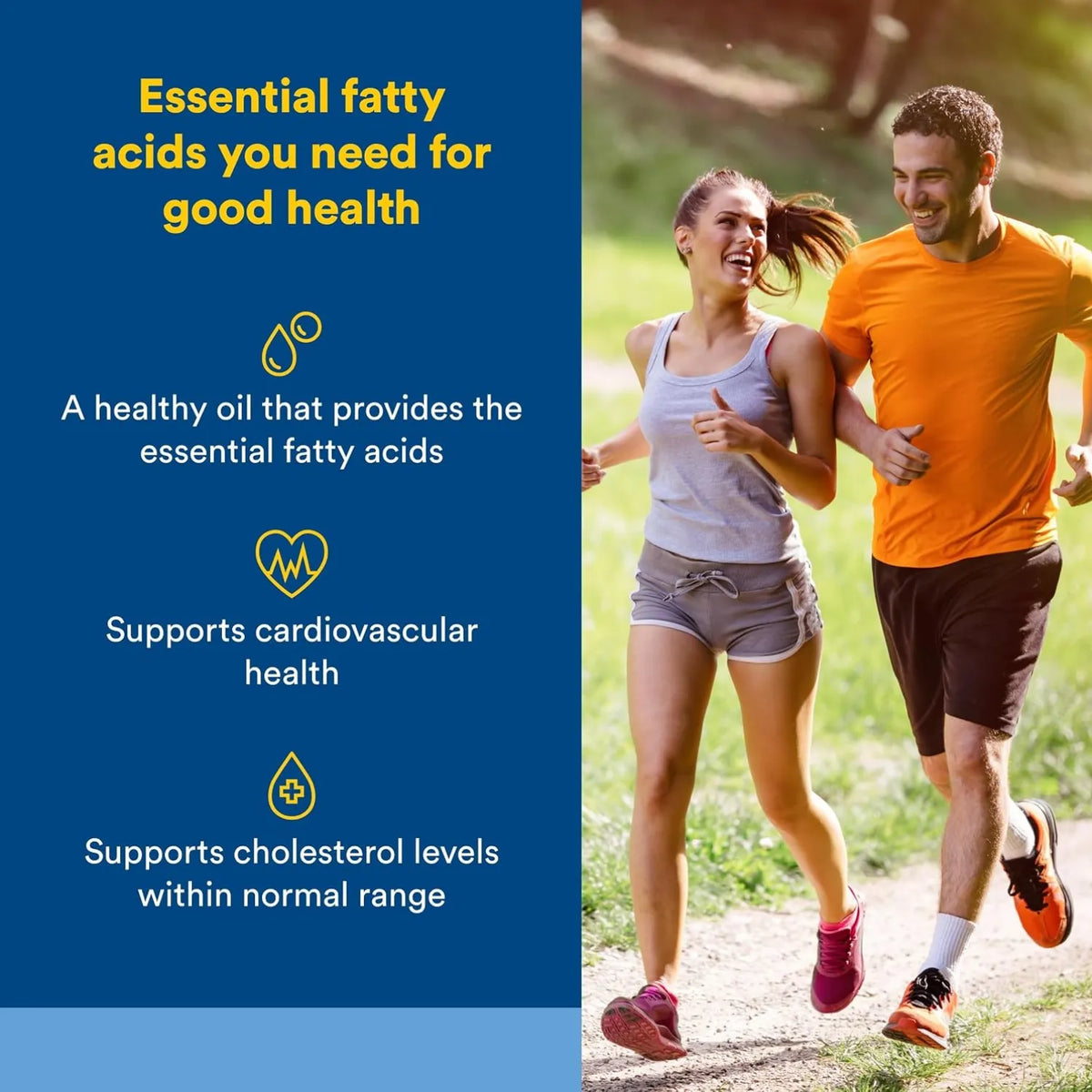 Natural Factors Omega Flaxseed Oil 1,000 mg Con 180 Cápsulas Blandas