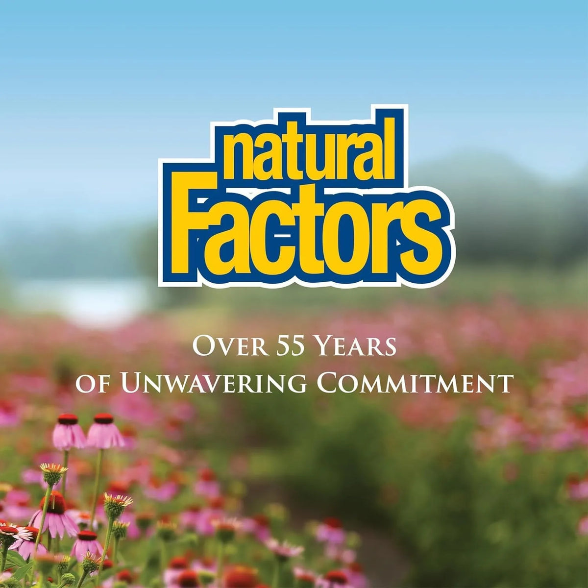 Natural Factors PQQ-10 PQQ 20 mg / CoQ10 200 mg 60 Cápsulas