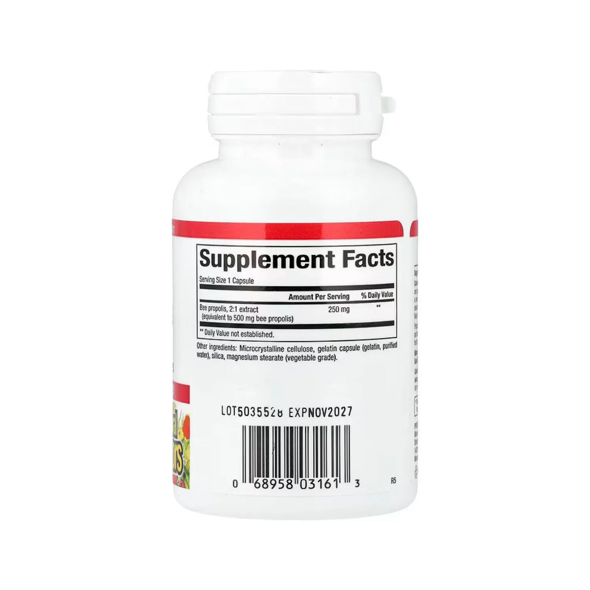 Natural Factors Propóleo de Abeja 500 mg 90 Cápsulas