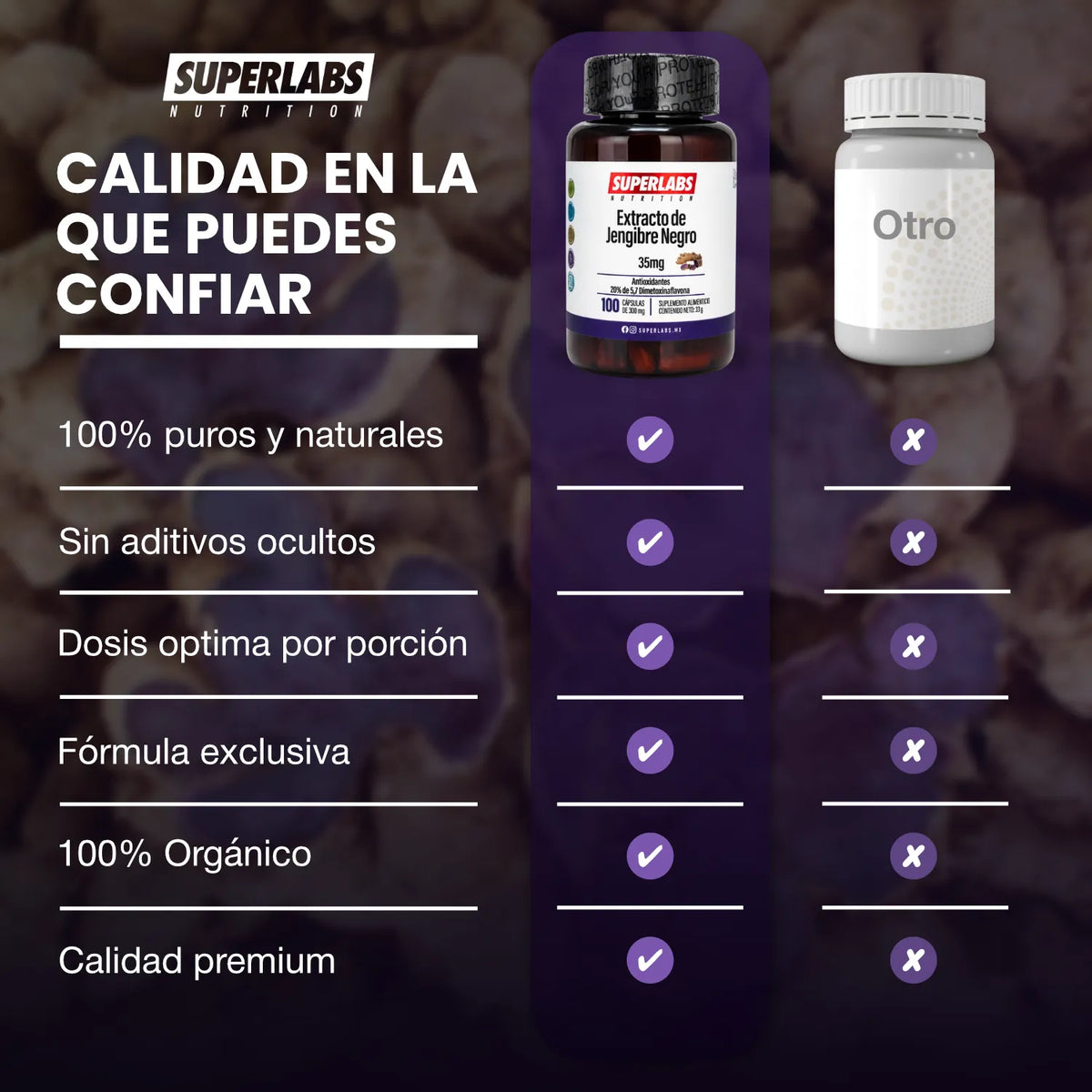 Jengibre Negro 35 mg Superlabs Nutrition | Energía y rendimiento físico | Apoya la circulación | 100 cápsulas