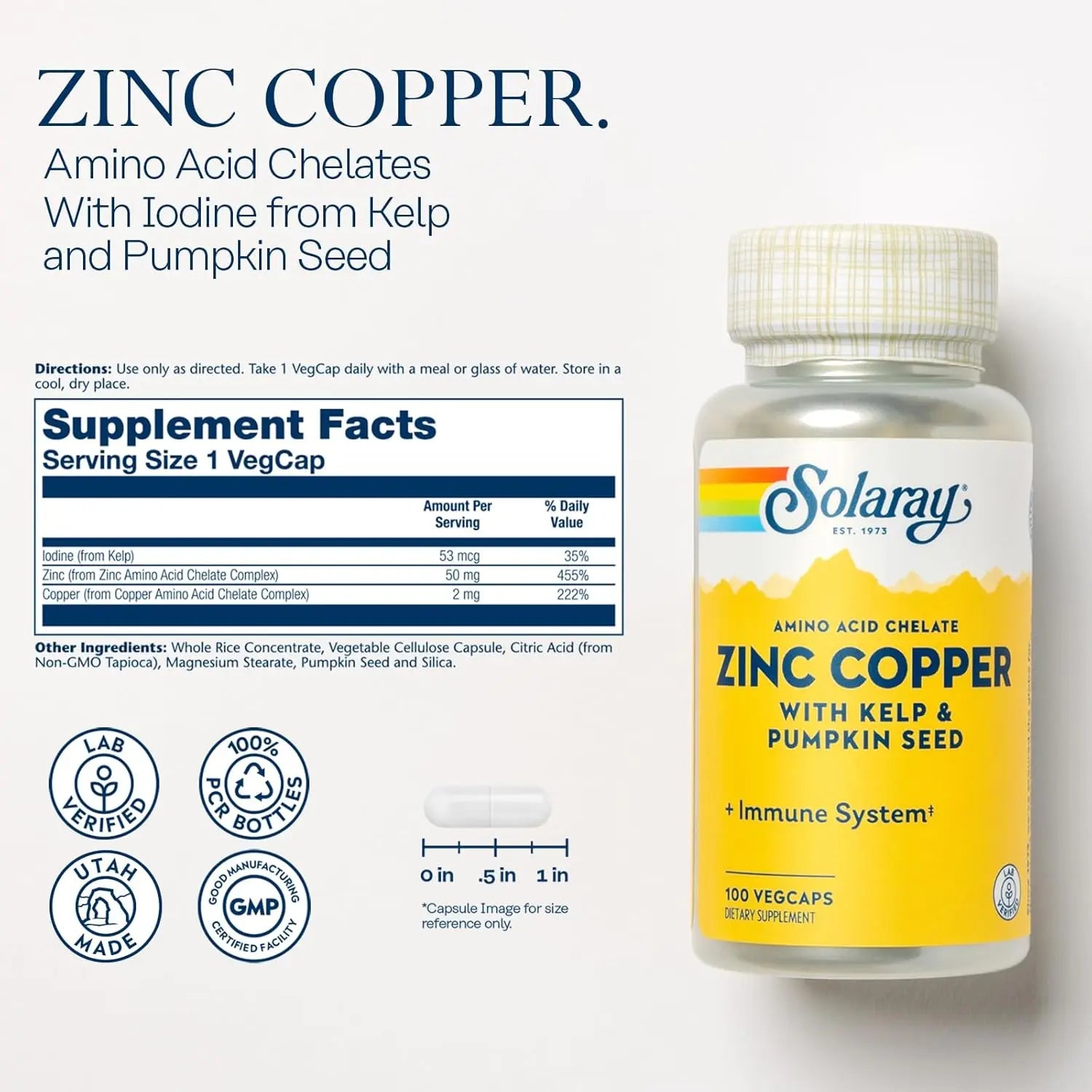 Solaray Zinc Y Cobre Con Kelp Y Semillas D Calabaza 100c Sfn