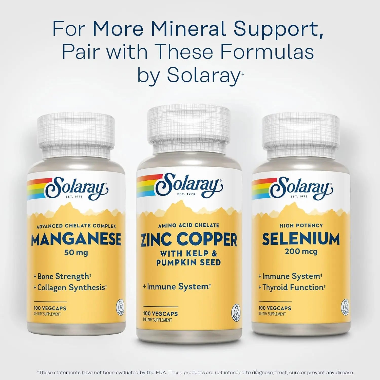 Solaray Zinc Y Cobre Con Kelp Y Semillas D Calabaza 100c Sfn
