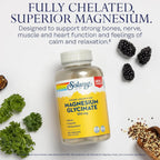 Solaray, Glicinato de magnesio de alta absorcion 350mg 120 capsulas