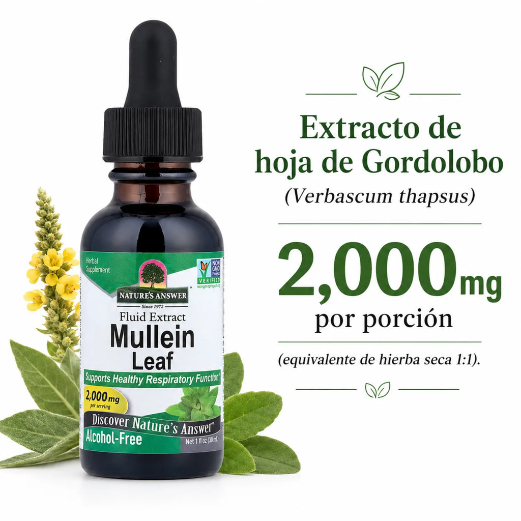 NATURES ANSWER ALCOHOL FREE MULLEIN LEAVES 1 OZ