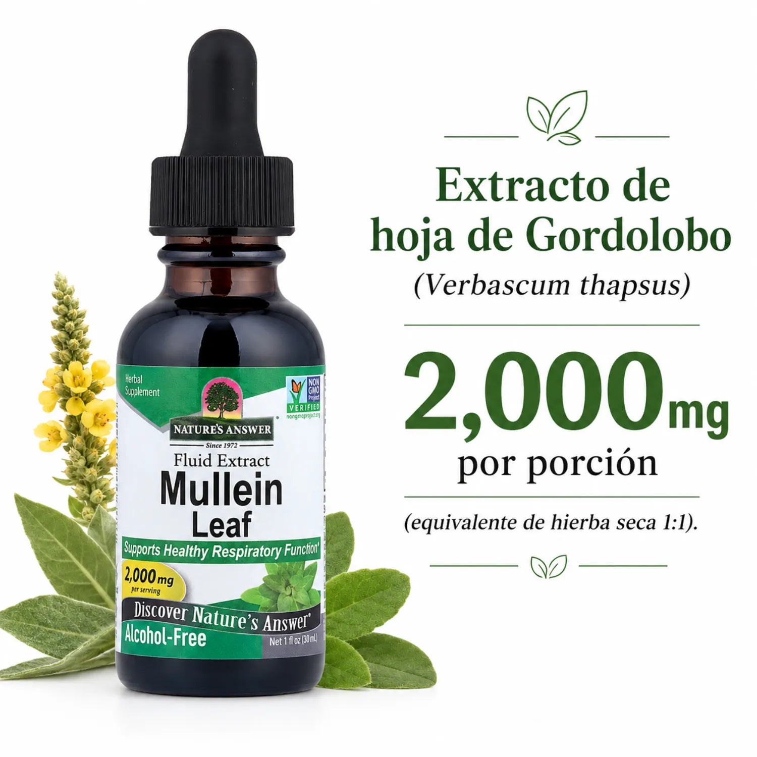 NATURES ANSWER ALCOHOL FREE MULLEIN LEAVES 1 OZ