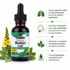 NATURES ANSWER ALCOHOL FREE MULLEIN LEAVES 1 OZ