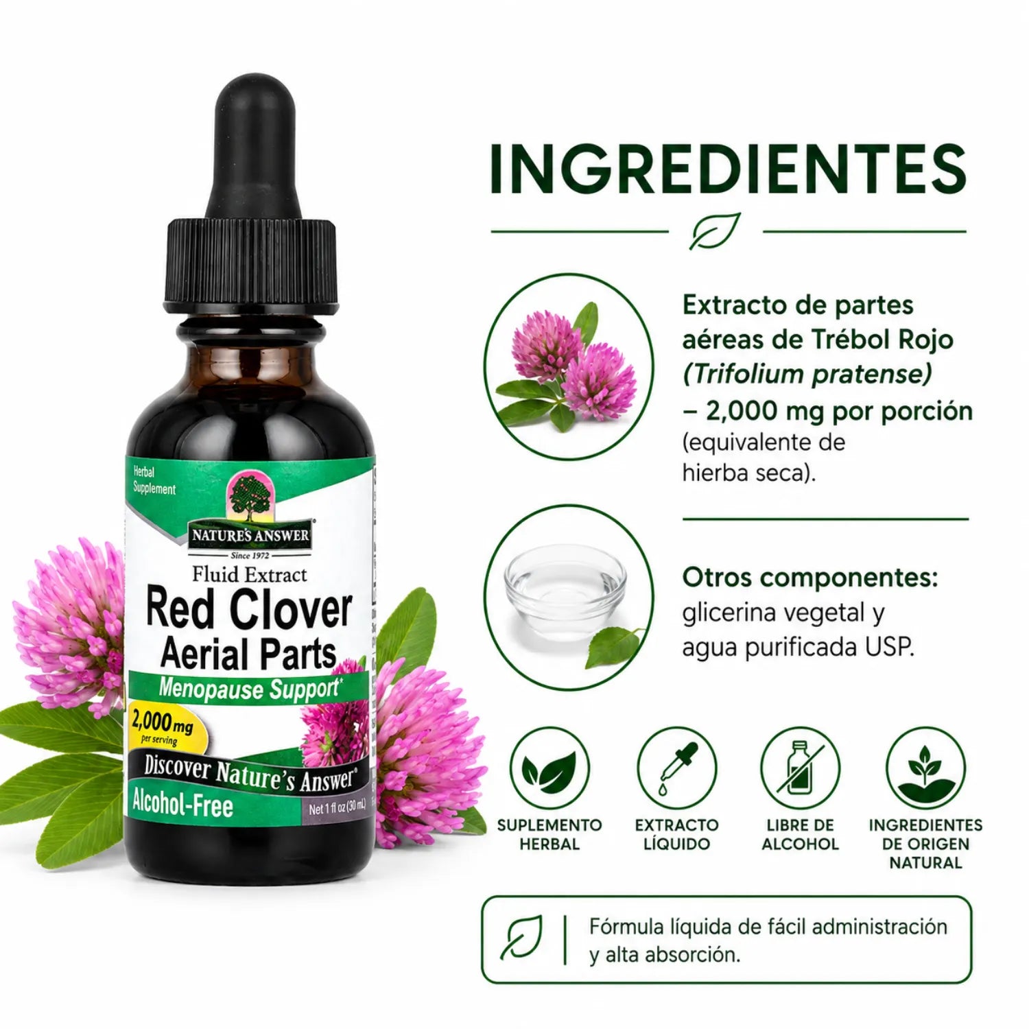 NATURES ANSWER ALCOHOL FREE RED CLOVER 1 OZ