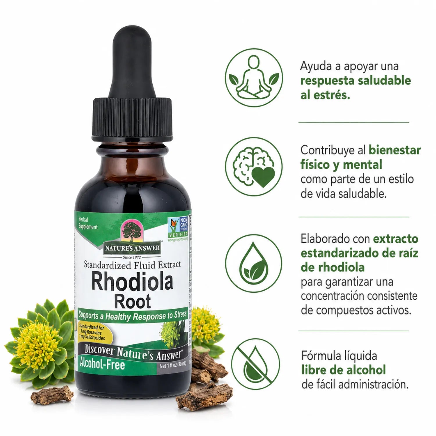 NATURES ANSWER ALCOHOL FREE RHODIOLA ROOT EXTRACT 1 OZ