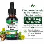 NATURES ANSWER ALCOHOL FREE RHODIOLA ROOT EXTRACT 1 OZ