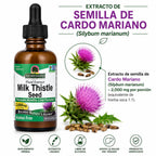 NATURES ANSWER ALCOHOL FREE MILK THISTLE 2 OZ