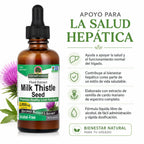 NATURES ANSWER ALCOHOL FREE MILK THISTLE 2 OZ