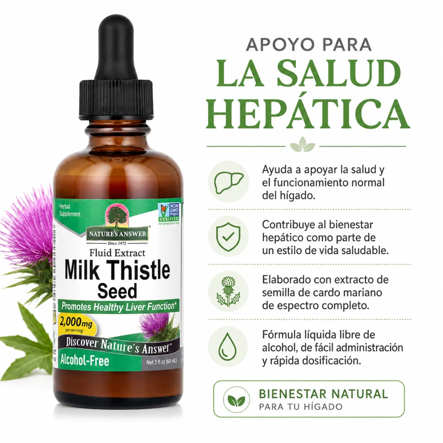 NATURES ANSWER ALCOHOL FREE MILK THISTLE 2 OZ