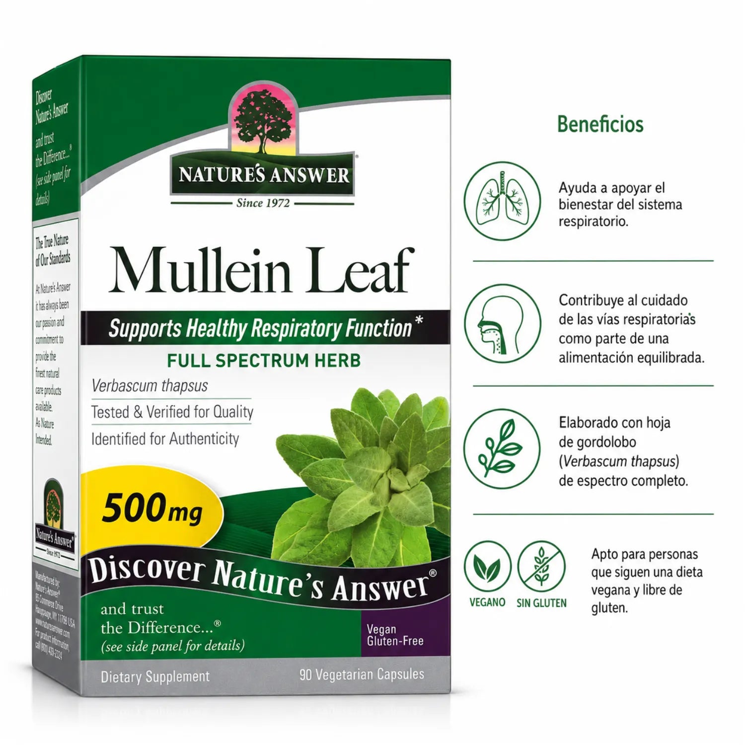 NATURES ANSWER MULLEIN LEAF 90 V-CAPS