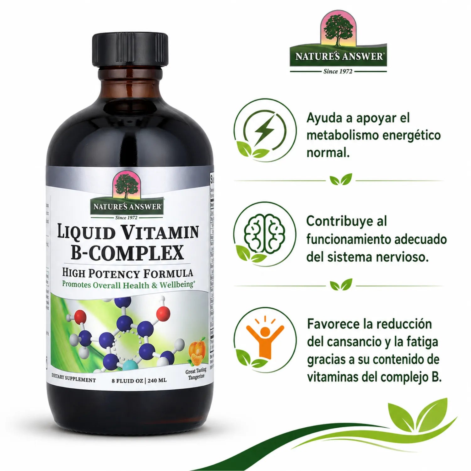 NATURES ANSWER LIQUID B-COMPLEX VITAMINS (8 FL OZ)