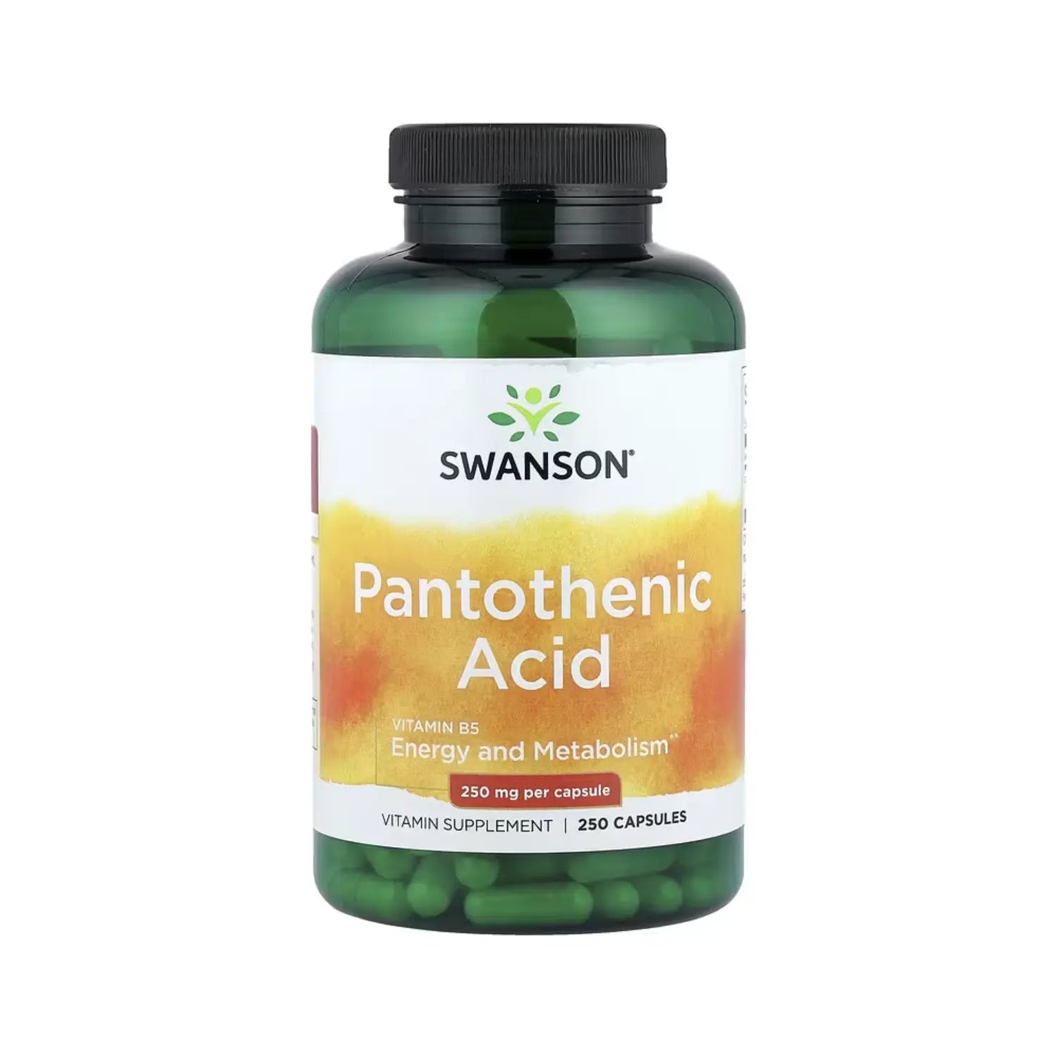 Swanson Ácido Pantoténico, Energía Y Metabolismo 250 Mg, 250 Cápsulas