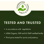 Swanson Clorofila, Refuerzo Para La Digestión Y La Desintoxicación, 90 Cápsulas Vegetales Con Contenido Líquido