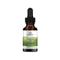 Swanson Astragalus Root Liquid Extract - Alcohol & Sugar Free 1 g 1 fl oz Liq SFN