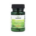 Swanson L Plantarum Probiotic 10 Billion 30 Capsulas Sfn