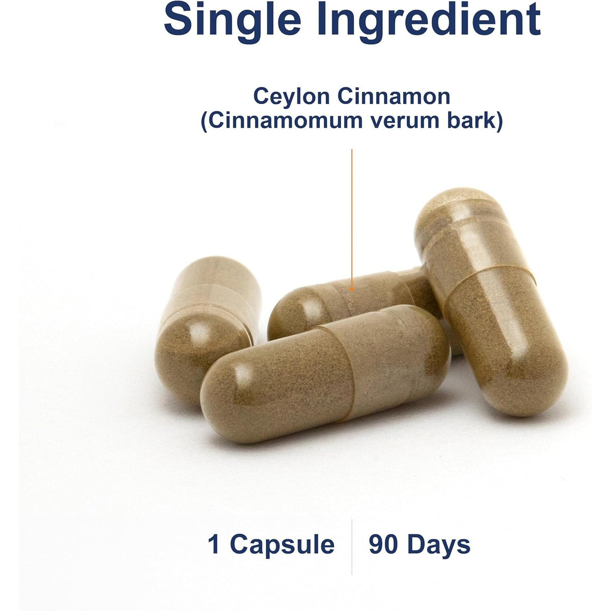 Carlson Labs Canela de Ceilán 500 mg 90 Cápsulas