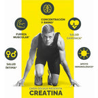 Con-Cret Creatine HCl | Creatina HCl Pura en Polvo | 48 g | 64 Servicios | Sin Sabor