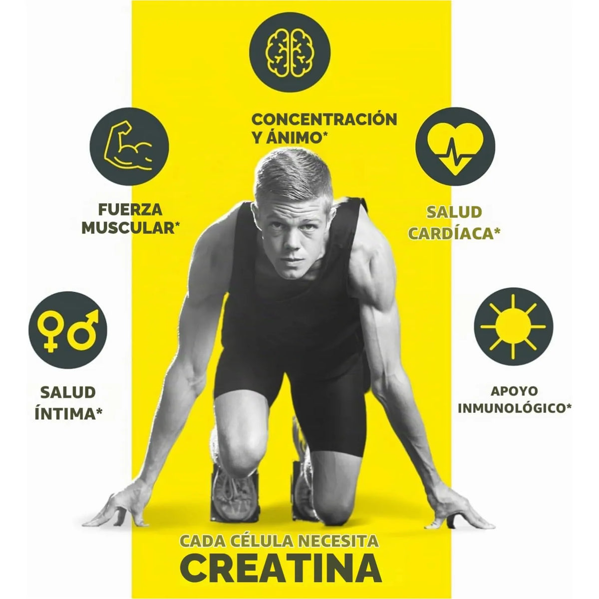 Con-Cret Creatine HCl | Creatina HCl Pura en Polvo | 48 g | 64 Servicios | Sin Sabor
