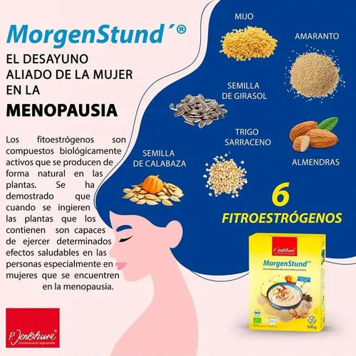 Jentschura MorgenStund | Papilla vegana de mijo y trigo sarraceno | 500 g | Orgánica | Sin gluten | Sin lactosa