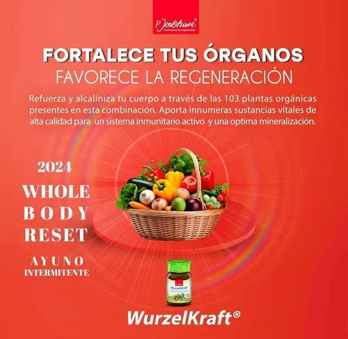 P. JENTSCHURA | WurzelKraft Mezcla de 103 Plantas Orgánicas | 300 g | Aporte de Vitaminas, Minerales y Antioxidantes Naturales