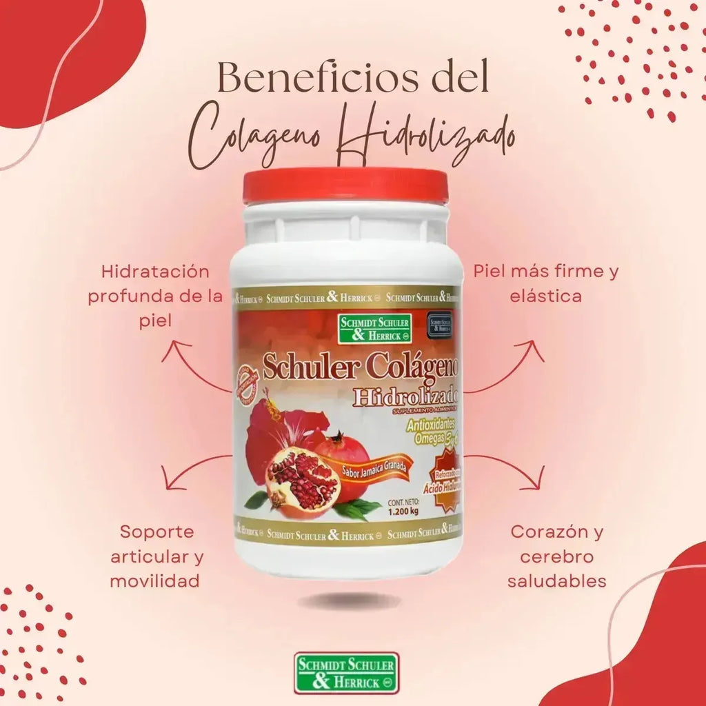 Schuler Colageno Hidrolizado Arandano 1.2 kg sfn