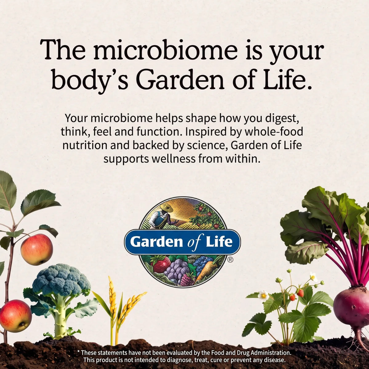 Garden of Life Organics Multivitamínico para Mujer 30 Tabletas | Fórmula de alimentos integrales | Vitaminas y minerales para energía y bienestar | 1 tableta al día | Suplemento alimenticio