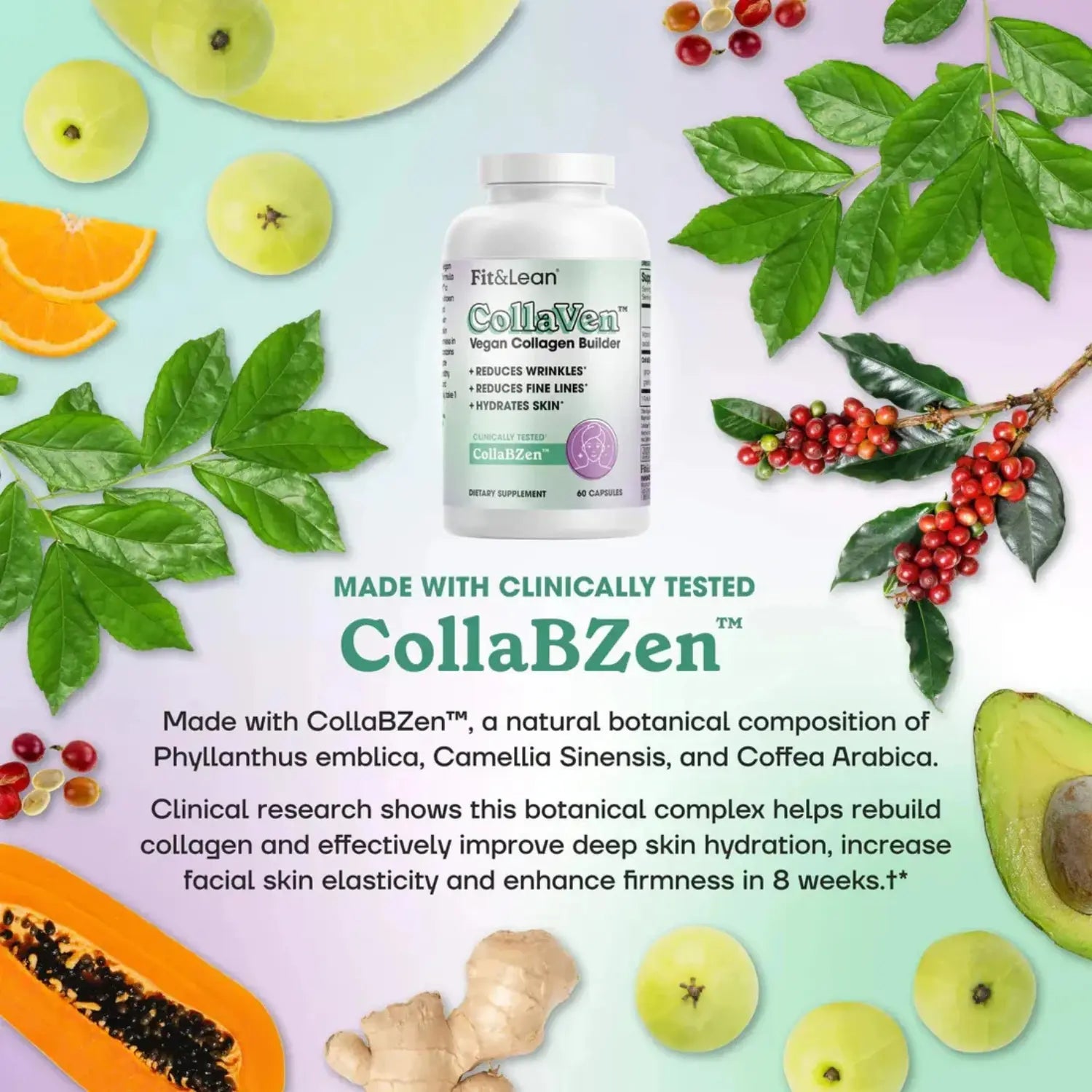 Fit & Lean CollaVen collagen builder 60 caps sfn