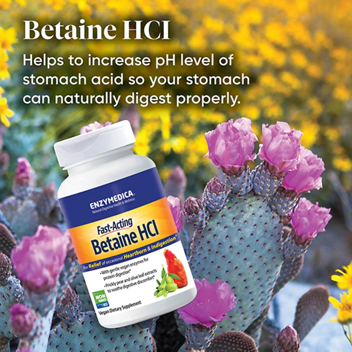 Enzymedica Betaína HCl 60 Cápsulas Vegetales