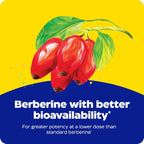 Enzymedica Berberine Phytosome 60 caps sfn