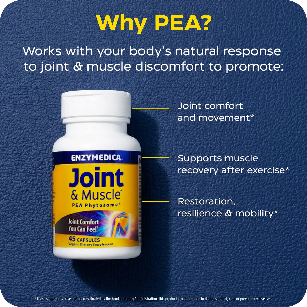 Enzymedica Joint & Muscle PEA Phytosome 300 mg 45 Cápsulas Vegetales