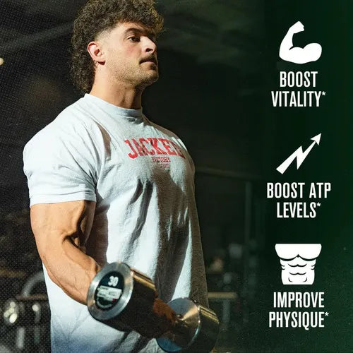 Jacked Factory PrimaSurge | 120 Cápsulas Vegetales | Apoyo a la Testosterona Natural | Fuerza, Energía y Vitalidad Masculina | Suplemento Alimenticio