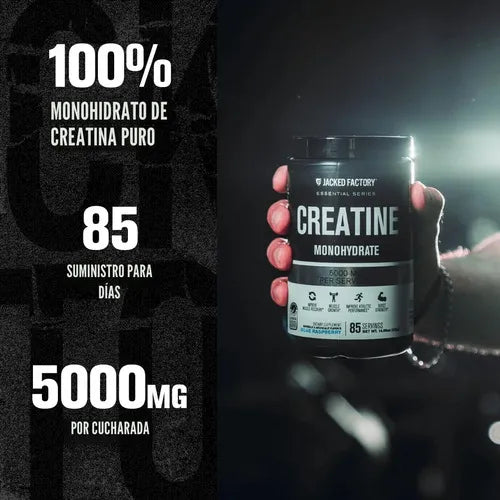 Jacked Factory Creatina Monohidratada | 85 servicios | Frambuesa azul | 5000 mg de creatina | Suplemento alimenticio