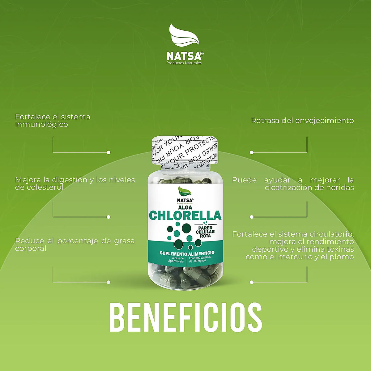 NATSA Chlorella 500 mg 100 Cápsulas | 1,000 mg por Porción | Alga Chlorella de Pared Celular Rota | 50 Porciones | Suplemento alimenticio