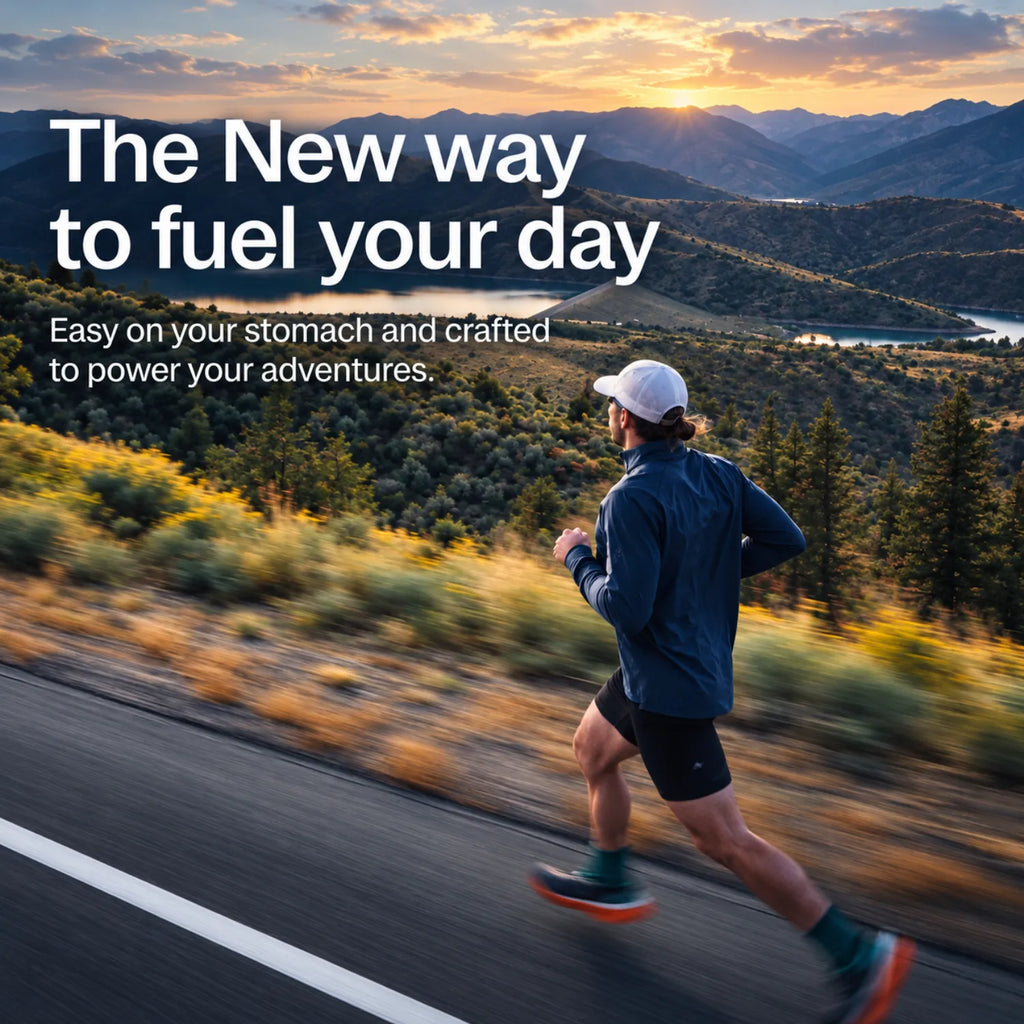 New Chapter Multivitamínico Diario para Todos los Hombres 72 Tabletas