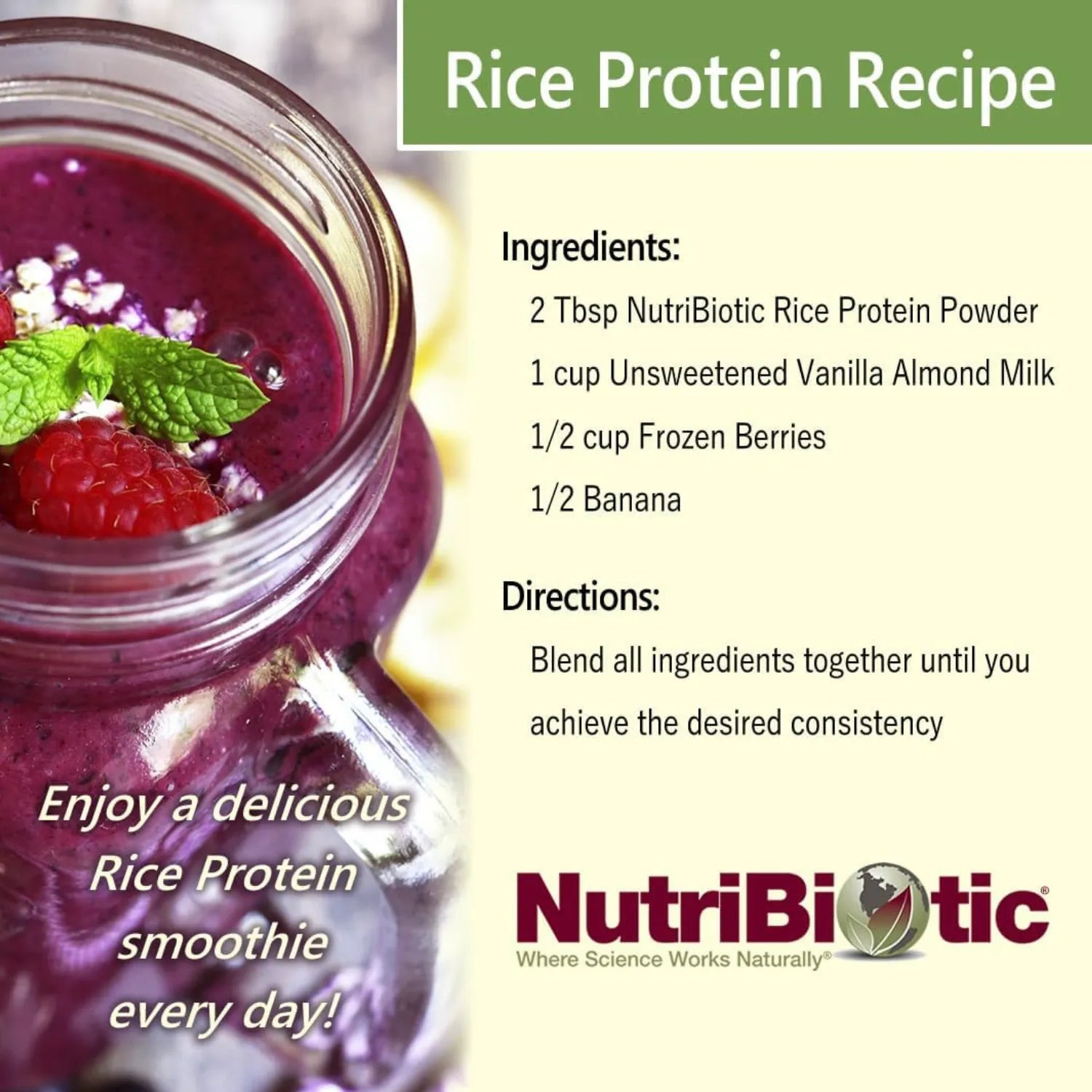 NutriBiotic Rice Protein, Proteína de Arroz en Polvo 600 g (1 lb 5,16 oz)
