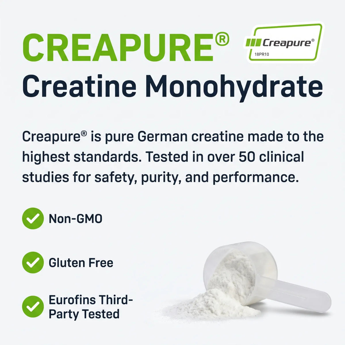 SteelFit Pure Steel Creatina Monohidratada Sin Sabor 500 g | 100 Servicios | 5 g de Creatina Creapure® por Porción | Apoyo a la Fuerza, Potencia y Rendimiento Deportivo | Suplemento alimenticio