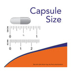 NOW Foods, Vitamina B6, 100 mg, 250 cápsulas vegetales sfn