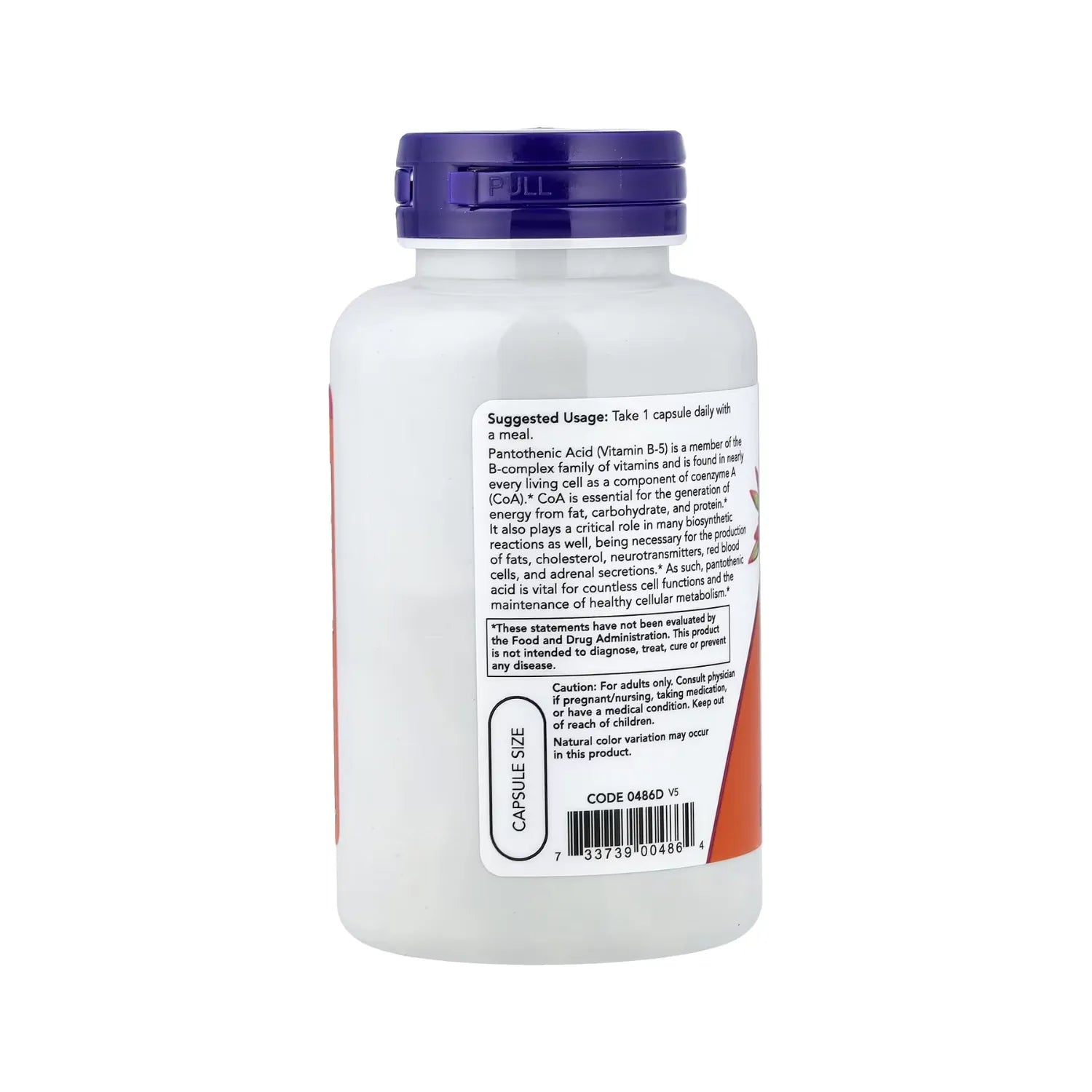 NOW FOODS ACIDO PANTOTENICO 500MG 100VEGCAPS SFN