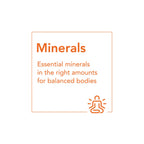 NOW FOODS MINERALES COLOIDALES 946 ML SFN